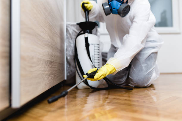 Best Exterminator Services  in Lantana, FL