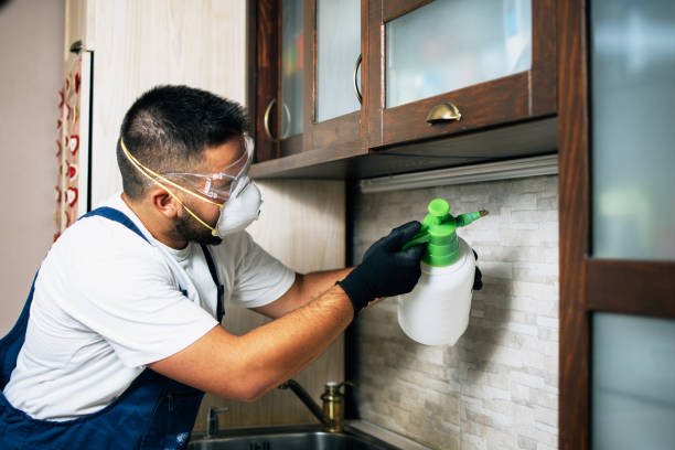 Best Cockroach Control Services  in Lantana, FL