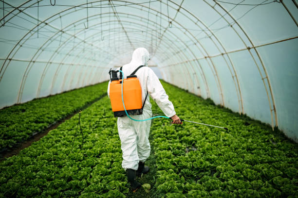 Best Pest Control Near Me  in Lantana, FL