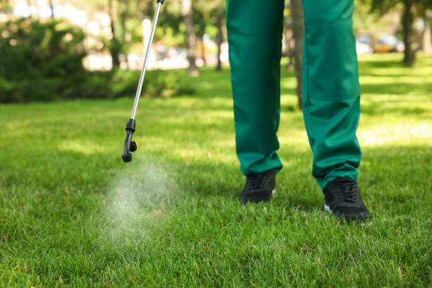 Best Best Pest Control Companies  in Lantana, FL